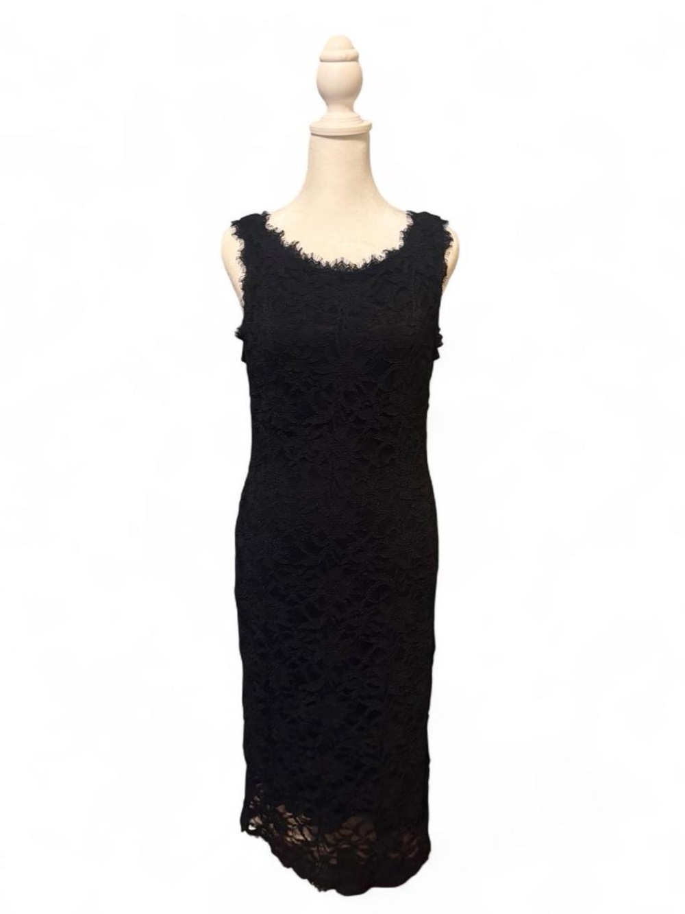 Blu Sage Black Lace Midi Dress